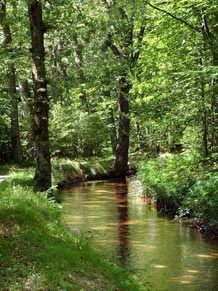 La rigole du Canal du Midi